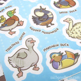 Ducks and Geese 4" x 6" Vinyl Sticker Sheet