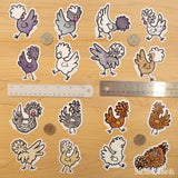 Silver Laced Frizzle Polish Chicken 3" Vinyl Sticker