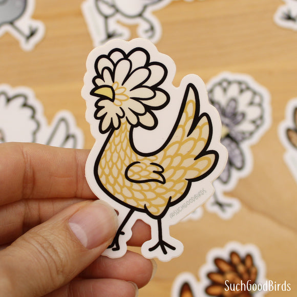 Buff Laced Standing - Polish Chicken 3
