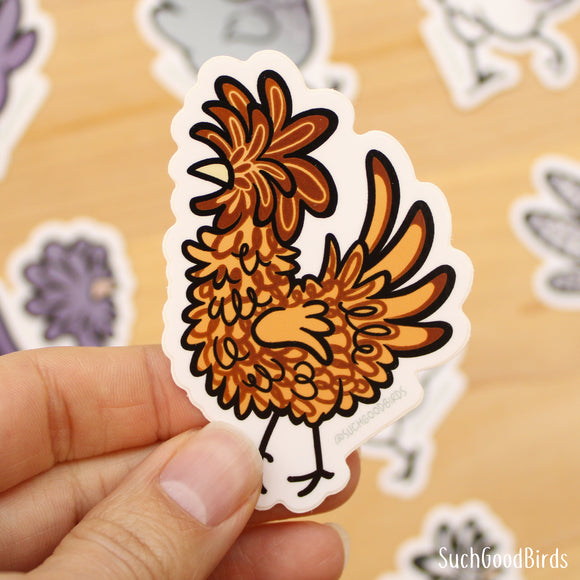 Gold Laced Frizzle Polish Chicken 3