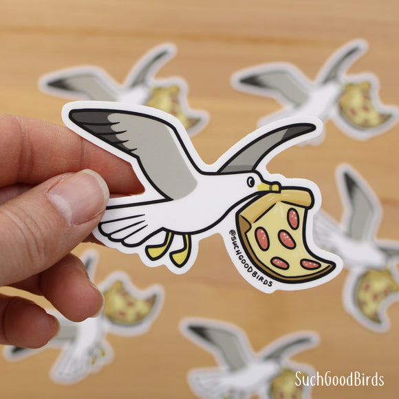 Seagull w Pizza - 3